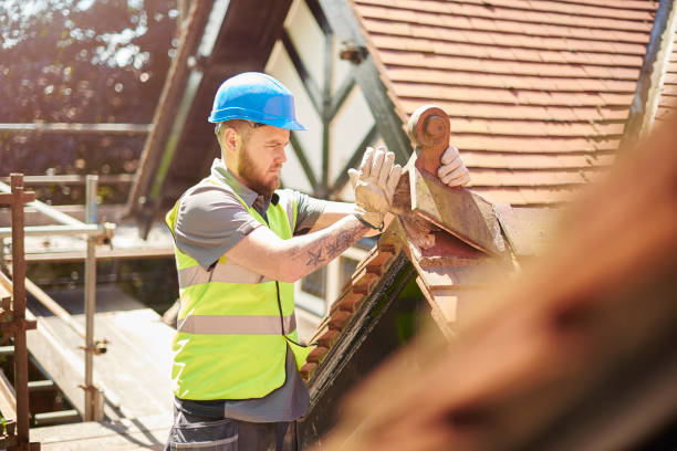 Best Roof Maintenance Services  in Northford, CT